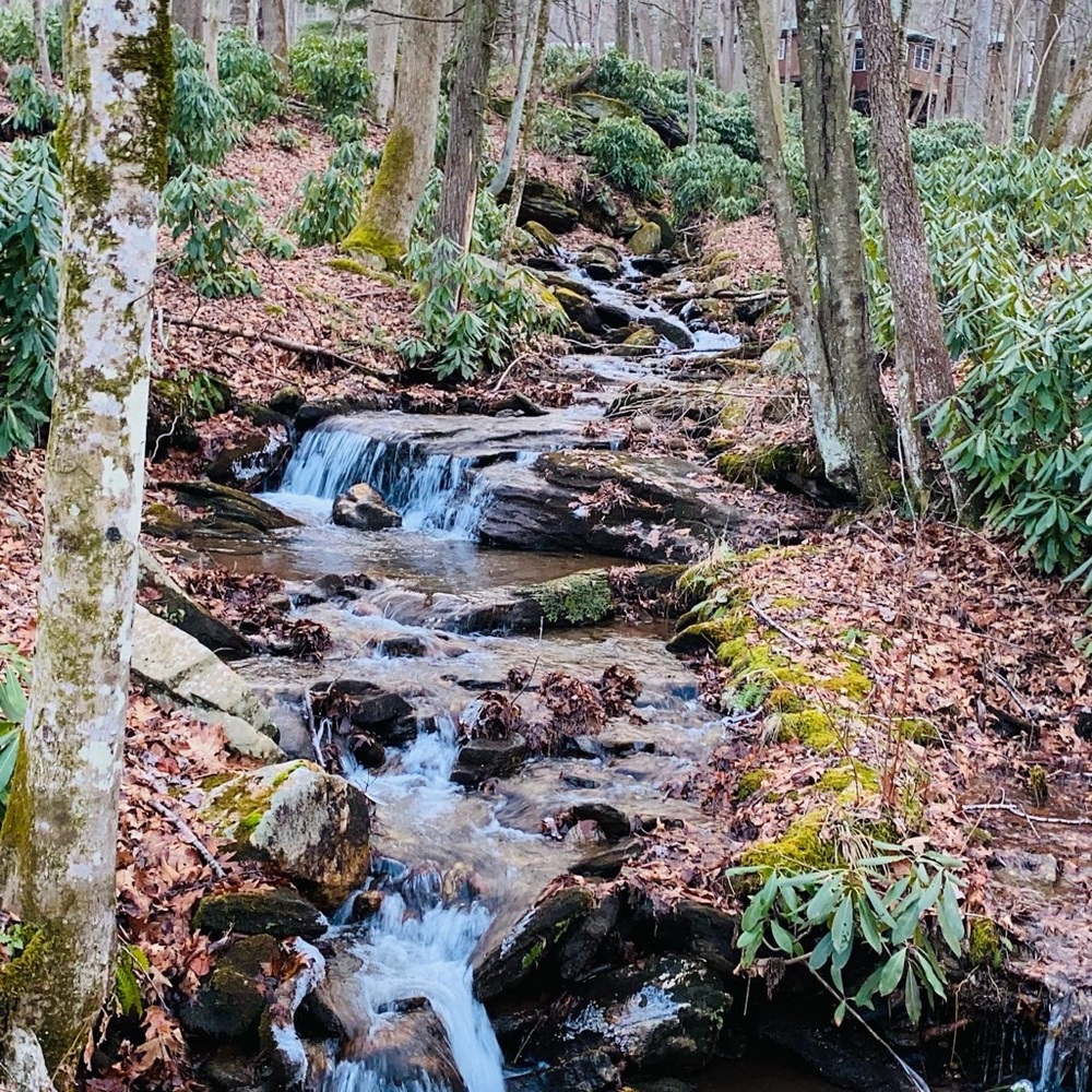 Meet your Posher, Adlih Gnz.